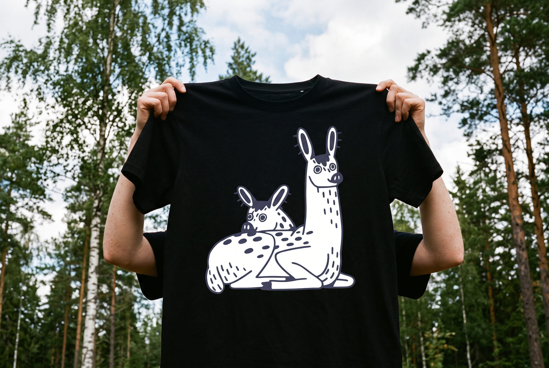 Om Hejdi 1